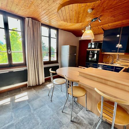 La Branche Du Cerisier Apartment Annecy Luaran gambar