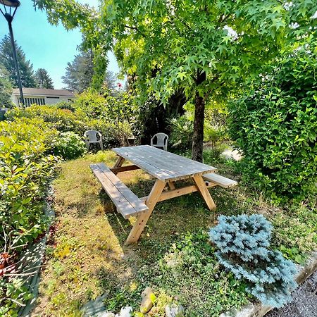 La Branche Du Cerisier Apartment Annecy Luaran gambar