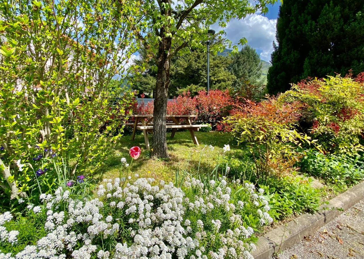 La Branche Du Cerisier Apartment Annecy Luaran gambar